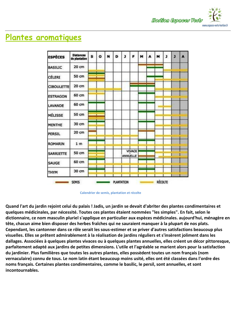 Première page de documentation jardin le secret pour des vraies plantes aromatiques