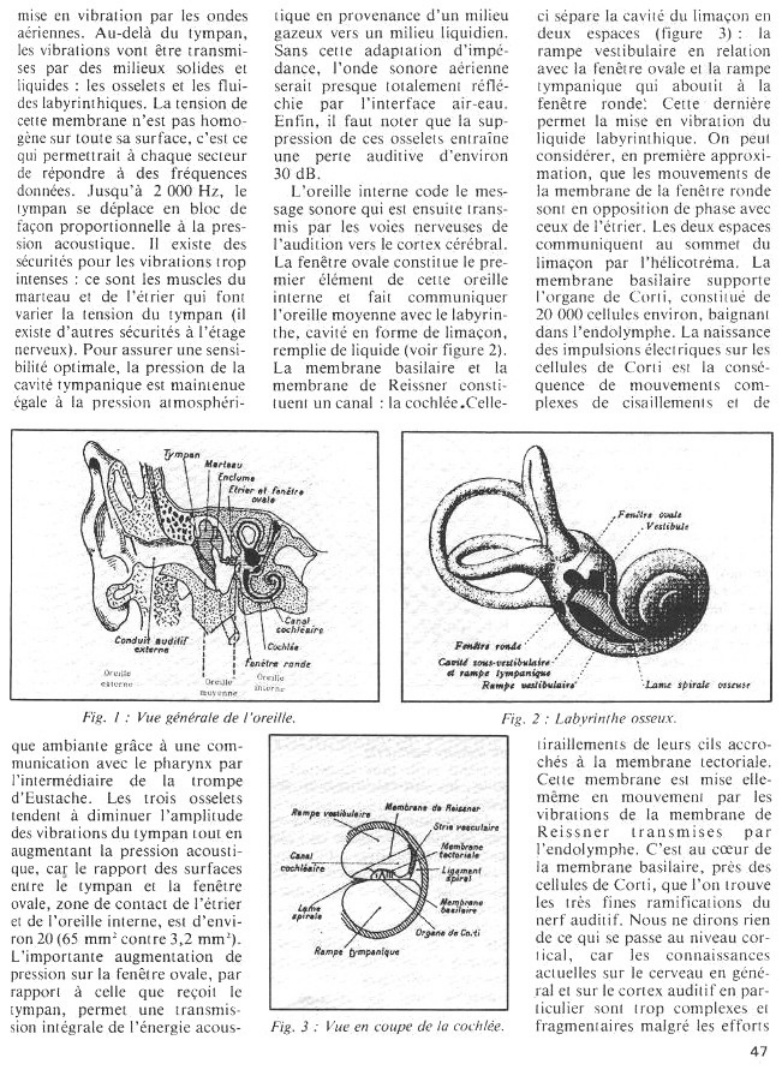 Aperçu de la page 35